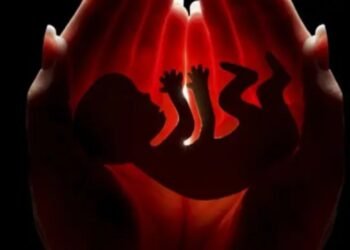 17 साल की लड़की को अबॉर्शन की अनुमति: छत्तीसगढ़ की रेप पीड़िता ने हाईकोर्ट में लगाई थी याचिका, रायपुर में स्पेशल टीम कराएगी गर्भपात