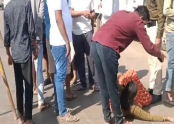 ट्रेलर ने बाप-बेटी को रौंदा, टुकड़ों में बंटी लाश: 50 मीटर तक घसीटकर ले गया, बाइक से दूर जाकर गिरी मां